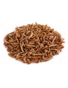 LARVA DE BUFFALO - 100 ml 2