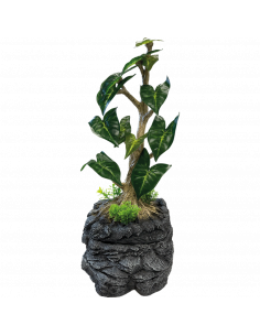 Repto - Planta Gotejadora 2