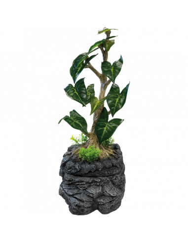 Repto - Planta Gotejadora