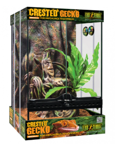 KIT TERRARIO GECKO DE CRISTA - 30x30x45 Cm