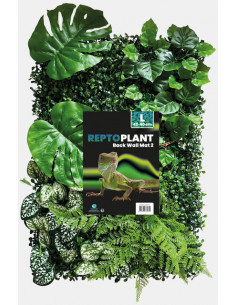 Repto - Fundo Decorativo 40×60