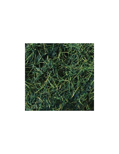 KOMODO NATURAL TROPICAL VINE - L