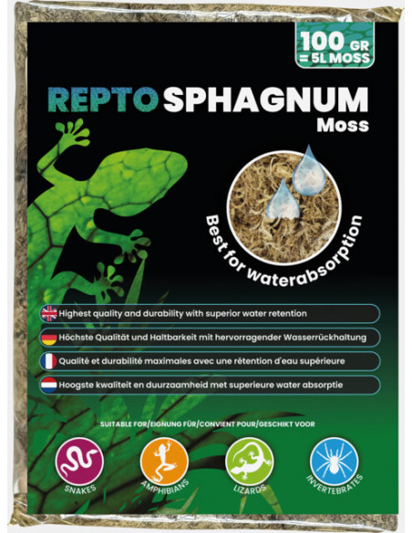 Repto - Musgo Sphagnum