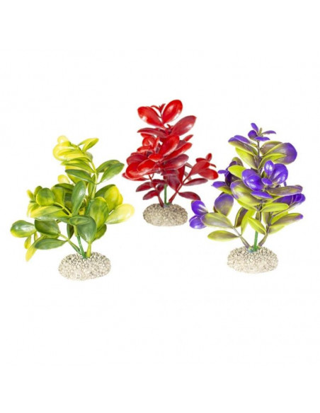 Planta Artificial Aqua Della - Crassula