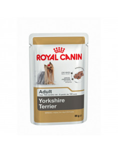 YORKSHIRE TERRIER ADULT HÚMIDO