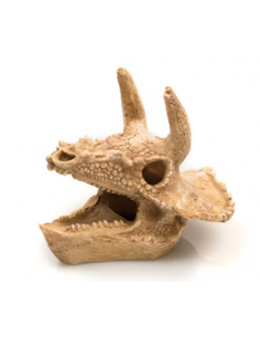 CRÂNIO DE DINOSSAURO - 18 x 13 x 18cm