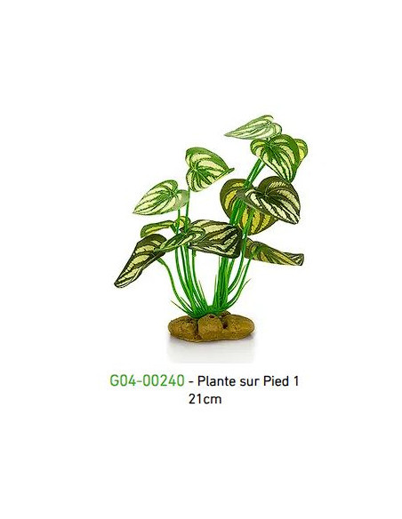 PLANTA DE PÉ 4 - 21cm