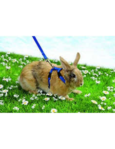 PEITORAL COM TRELA PARA COELHOS