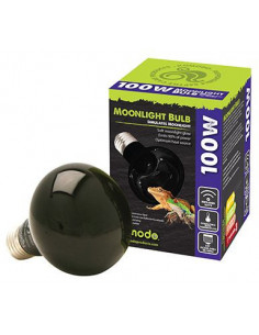 Komodo - Lampada Moonlight 150W