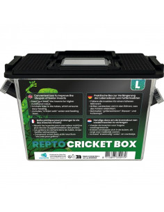 Repto – Cricket Box - S - 21 x 9 x 15cm