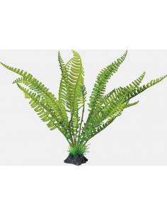 Repto - Decoração “Planta Fern”
