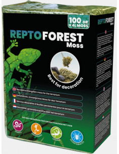 Repto - Forest Moss