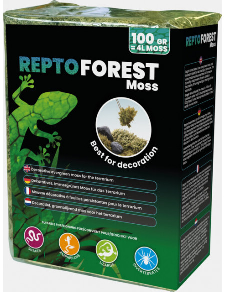 Repto - Forest Moss