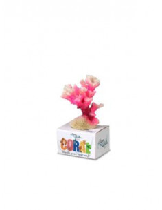 Decoração Poliresina Cauliflower Coral S