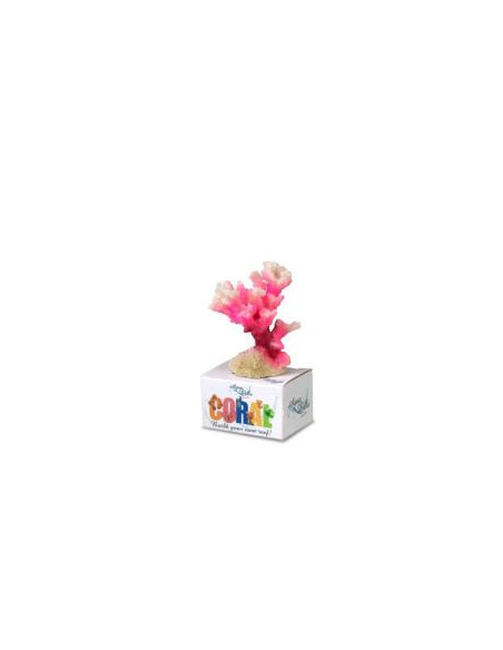 Decoração Poliresina Cauliflower Coral S