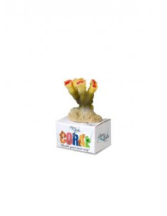 Decoração Poliresina Torch Coral S