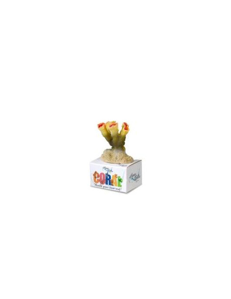 Decoração Poliresina Torch Coral S