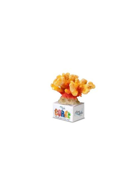 Decoração Poliresina Cauliflwoer Coral -Lar-Ama-M