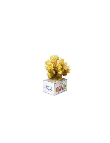 Decoração Poliresina Cauliflower Coral -Tamanho M