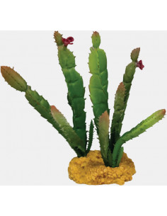 Decoração “Planta Cactus Needle” – Repto
