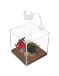 MARINA BETTA CUBUS KIT, 3.4L