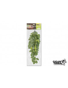 PLANTA DE SUSPENSÃO POTHOS - 56cm