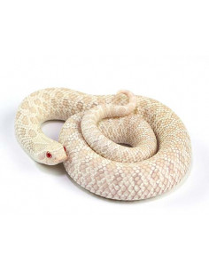 COBRA NARIZ "Snow"