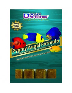 Pygmy Angel Formula - 100 g