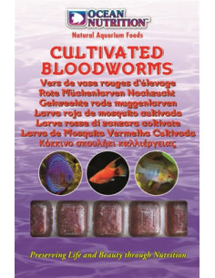 Larvas Mosquito Vermelhas Cultivada - 100 g