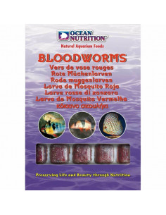 Larvas Mosquito Vermelhas