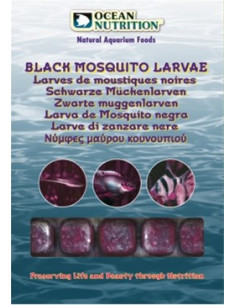 Larvas de Mosquito Negras - 100 g