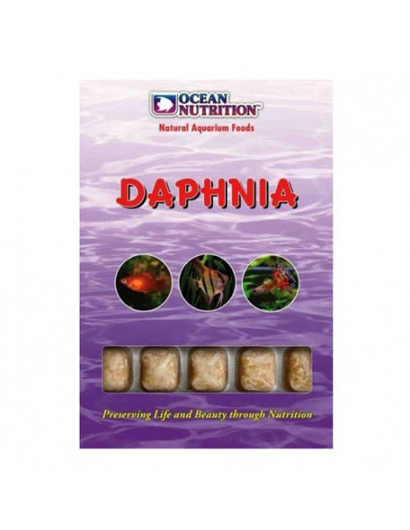 Daphnia - 100 g