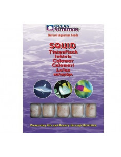 Moluscos (lula e choco) - 100 g