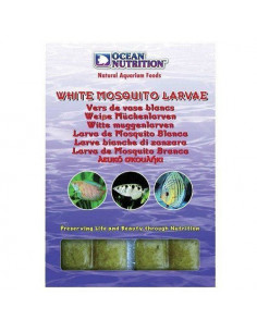 Larvas Mosquito Branca - 100 g