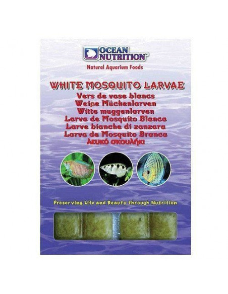 Larvas Mosquito Branca - 100 g