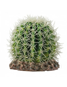 CACTUS SONORA