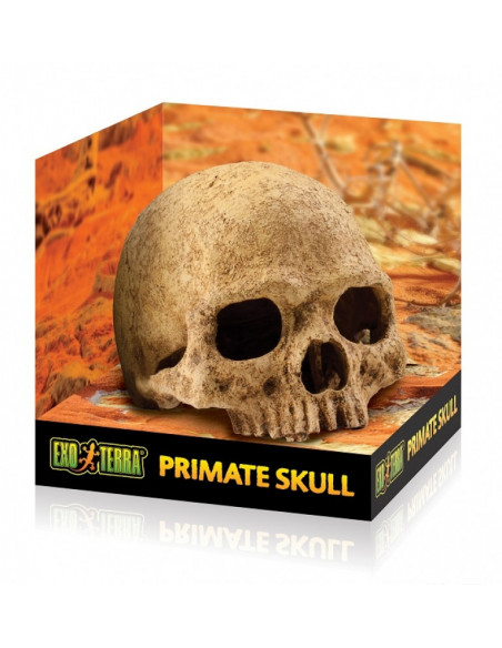 REFÚGIOS FÓSSEIS - PRIMATA