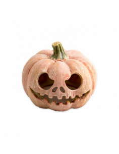 ABÓBORA FLUORESCENTE