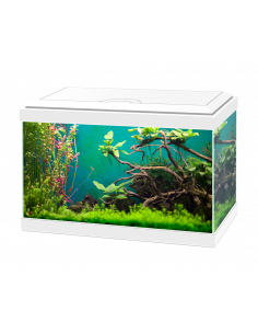 AQUA 20 COM FILTRO INTERIOR BRANCO