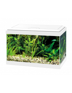 AQUA 20 C/FILTRO INTERIOR & ILUMINAÇÃO LED BRANCO