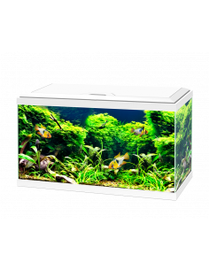 AQUA 60 C/FILTRO BIOLÓGICO & ILUMINAÇÃO LED BRANCO