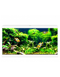 AQUA 60 C/FILTRO BIOLÓGICO & ILUMINAÇÃO LED BRANCO 2