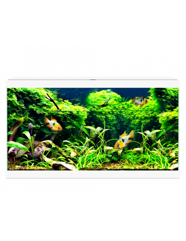 AQUA 60 C/FILTRO BIOLÓGICO & ILUMINAÇÃO LED BRANCO