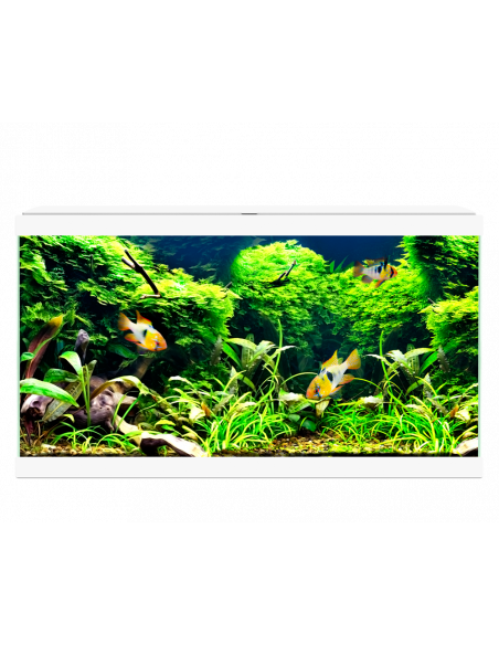 AQUA 60 C/FILTRO BIOLÓGICO & ILUMINAÇÃO LED BRANCO