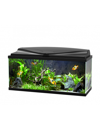 AQUA 80 C/FILTRO BIOLÓGICO & ILUMINAÇAO LED BRANCO