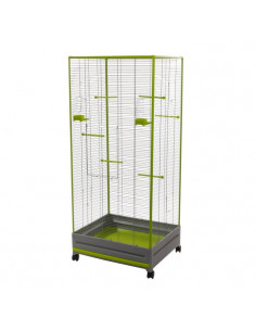 PASSAREIRA CINZA-VERDE