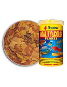 VITALITY & COLOR - 100ML 2