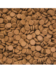 VITALITY E COLOR TABLETS 2