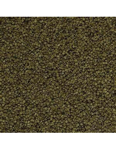 SPIRULINA GRANULAT 2