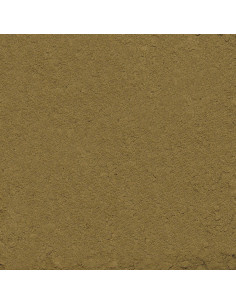 MIKRO-VIT SPIRULINA 2